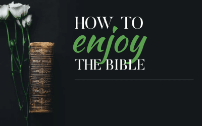 How to Enjoy the Bible!